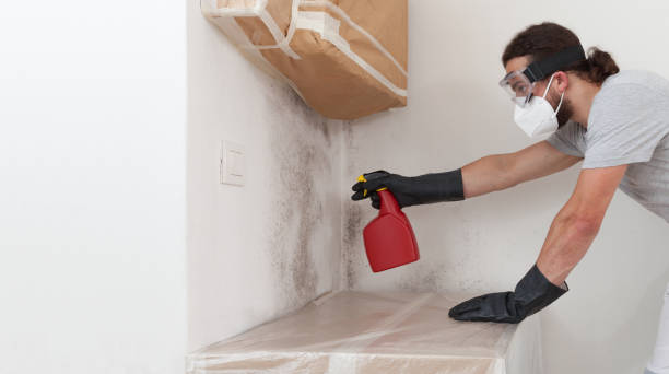 Professional Mold Inspection And Testing technician working in Elk Rapids, MI